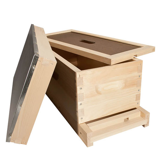 Apiculture Box Nucleus Hive Box - HENAN BAIFENG BEE EQUIPMENT CO.,LTD