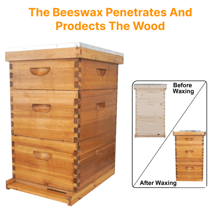 3 Layer Wax Dipped Langstroth Beehive - Image 6