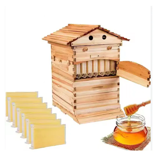 Flow Hive Bee Box - HENAN BAIFENG BEE EQUIPMENT CO.,LTD