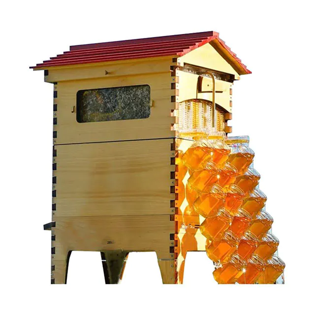 Flow Hive Bee Box - HENAN BAIFENG BEE EQUIPMENT CO.,LTD