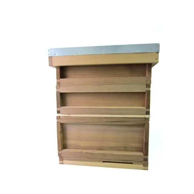 National Beehive - Image 3