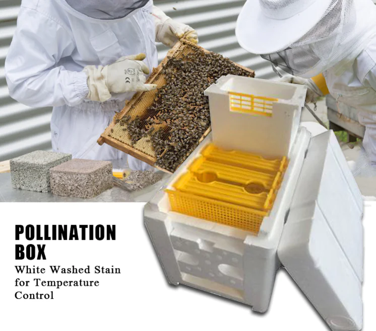 Plastic Mating Box - Image 9