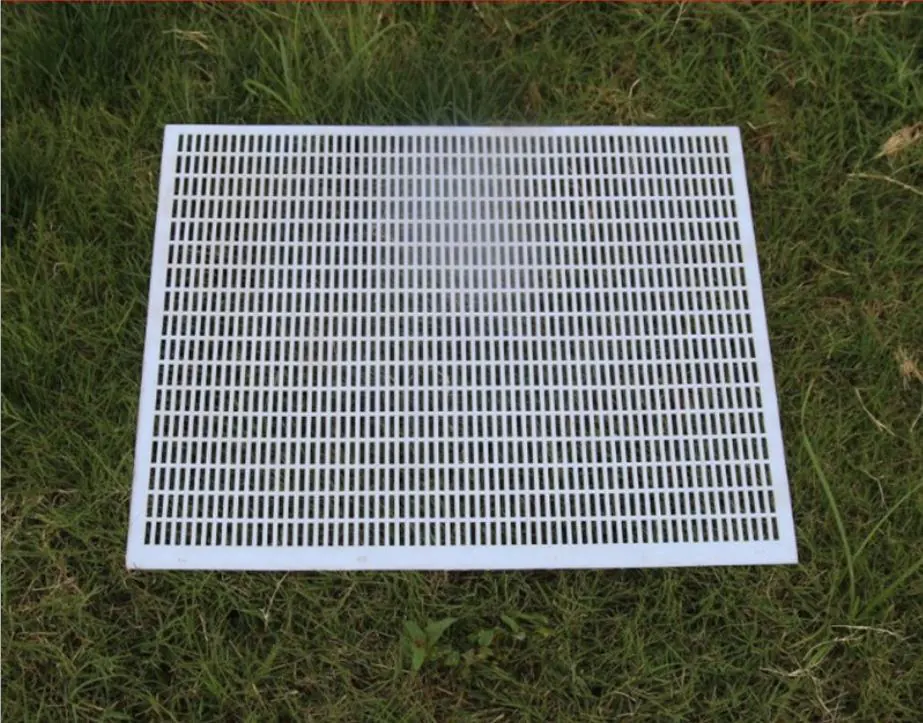 Plastic Queen Excluder - Image 2