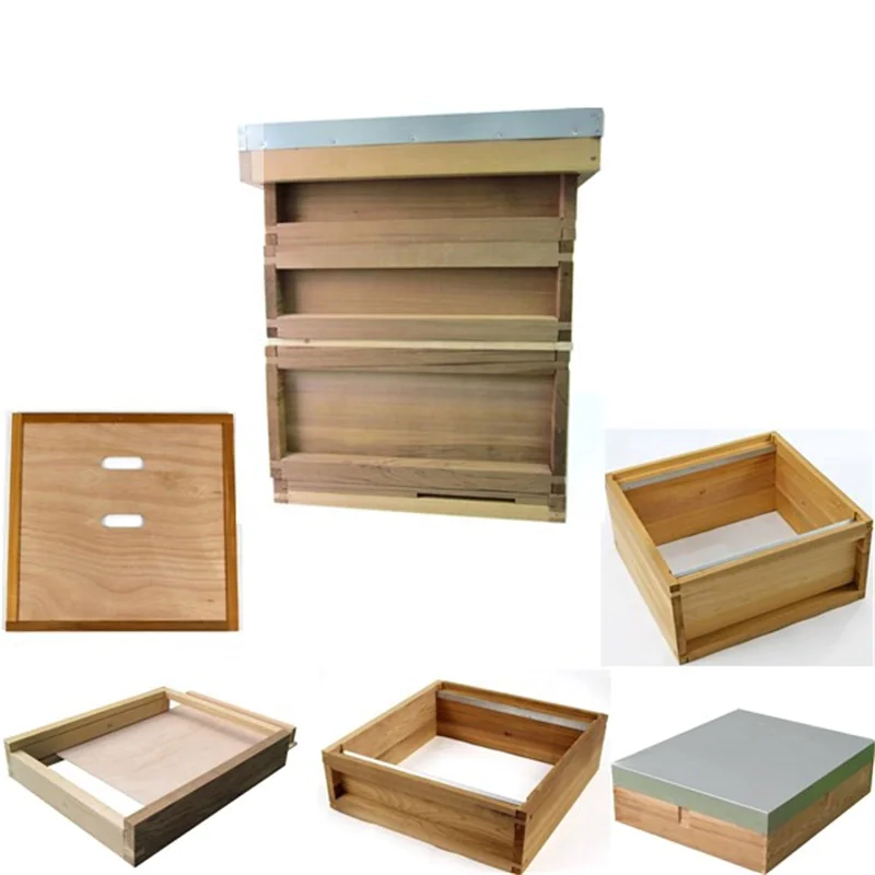 National Beehive - Image 6