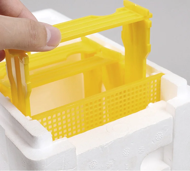 Plastic Mating Box - Image 3