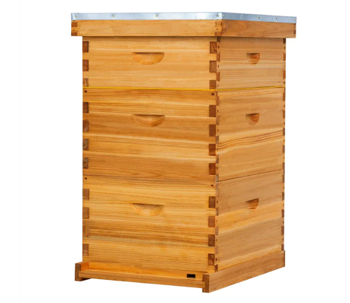 3 Layer Wax Coated Langstroth Beehive
