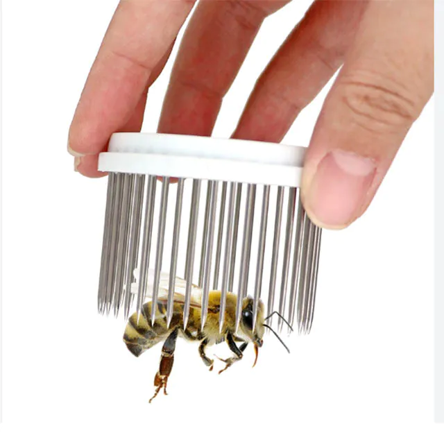 Needle Type Bee Cage - Image 5