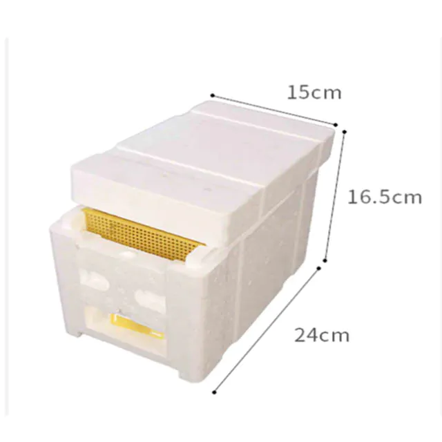 Queen Bee Mating Box - Image 6