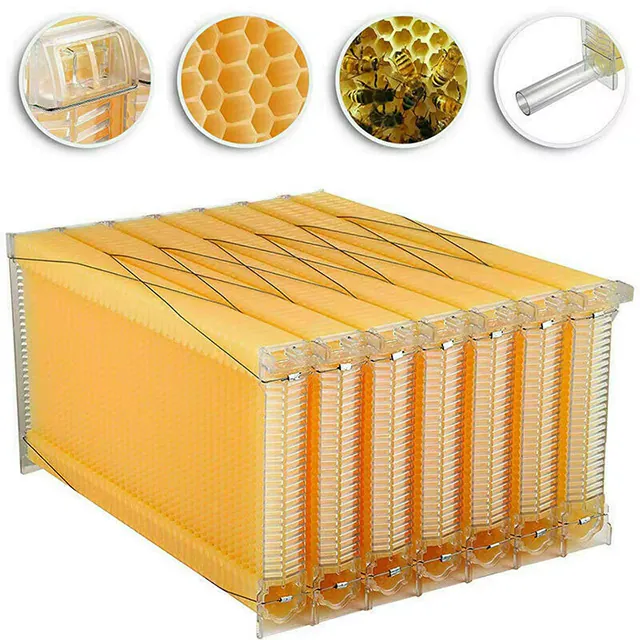 Automatic Flowing Plastic Honey Bee Frames - Image 3