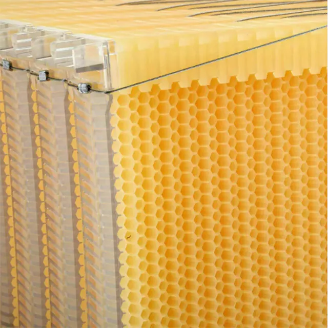 Automatic Flowing Plastic Honey Bee Frames - Image 5