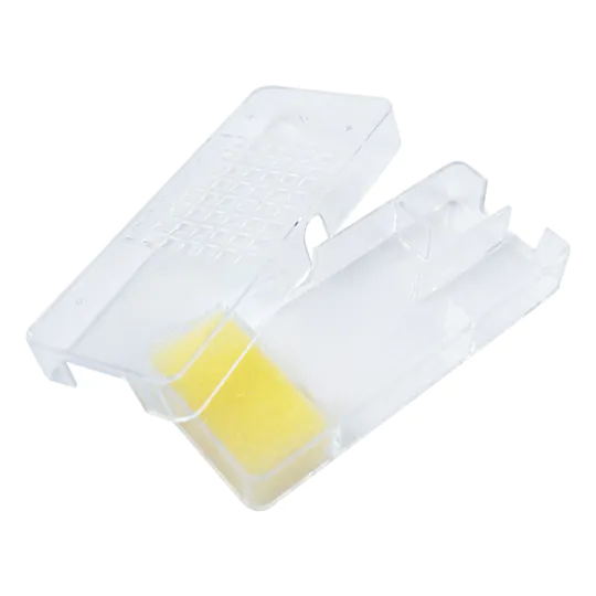 Queen Catcher - Image 3