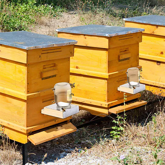 Beehive Entrance Feeders - Image 4
