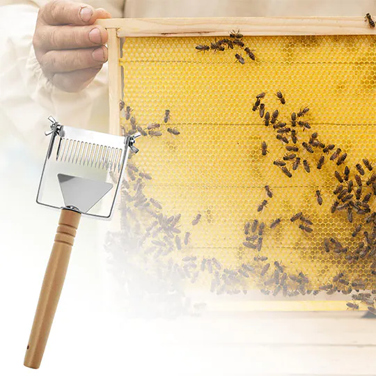 Stainless Steel Honeycomb Uncapping Fork - Image 6