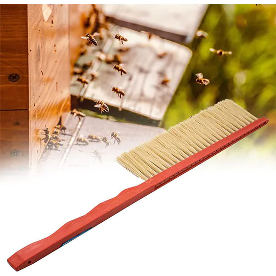 One Rows Plastic Handle Bee Brushes - Image 6