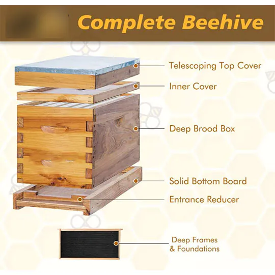 Wax Coated Nuc Box - Image 2