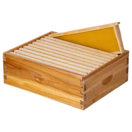10 Frames Bee Box