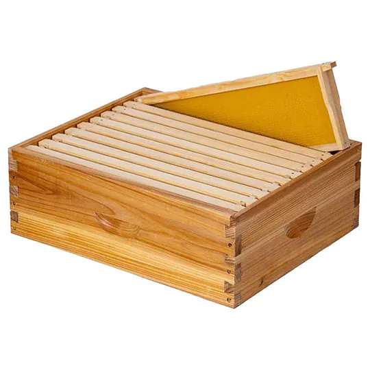 10 Frames Bee Box