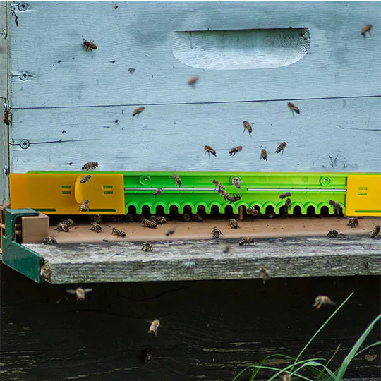 Multi-Functional Sliding Hive Entrance for Beekeeping - Image 4