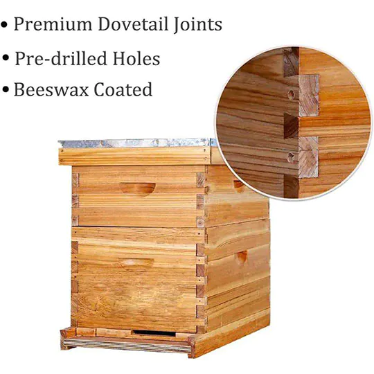 10 Frames Bee Box - Image 5