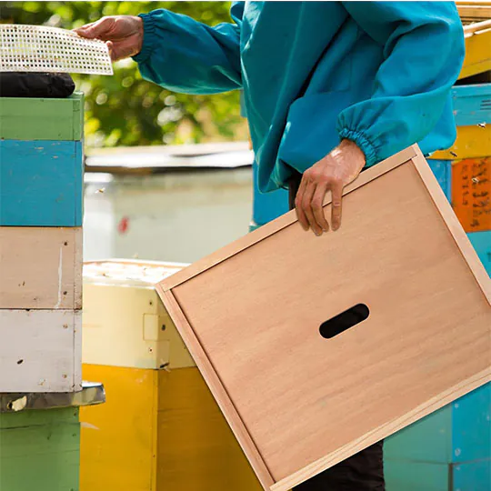 Wood Beehive Inner Cover - Image 5