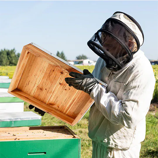 Beehive Telescoping Top Cover - Image 5