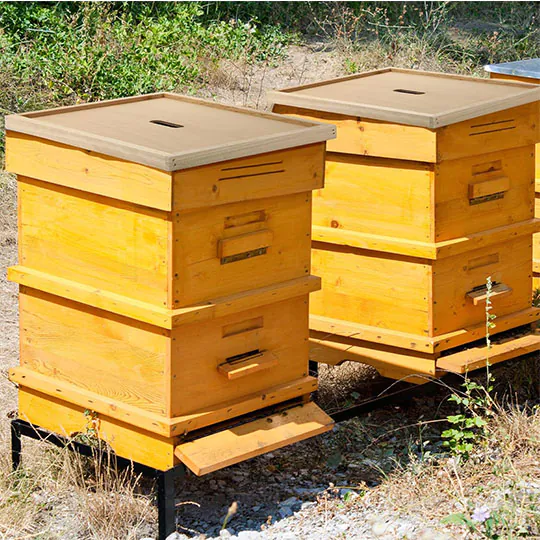 Wood Beehive Inner Cover - Image 6