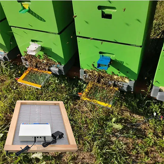 Electronic Bee Venom Collector - Image 6