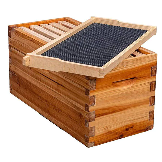 Wax Coated Nuc Box - Image 6