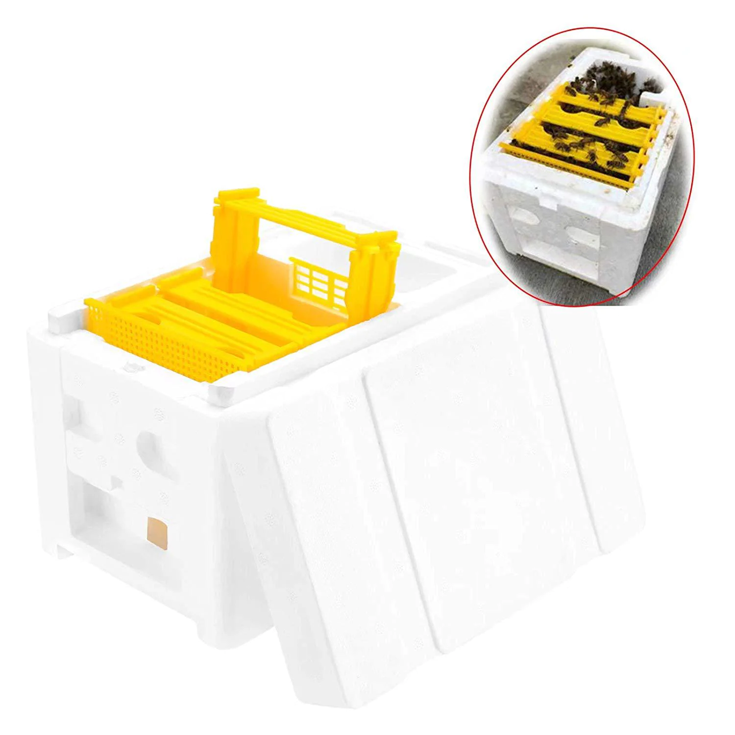 Foam Nuc Bee Box - Image 4