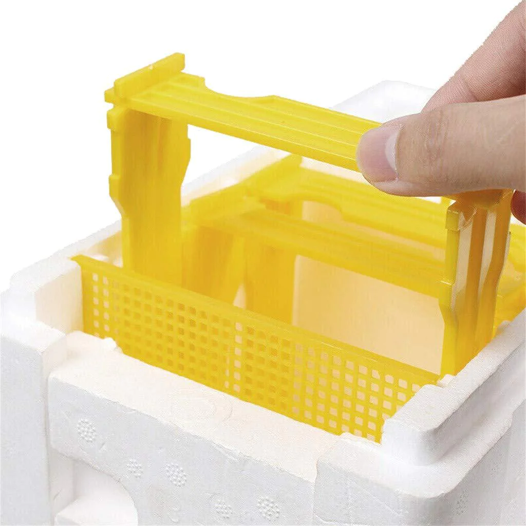 Foam Nuc Bee Box - Image 6